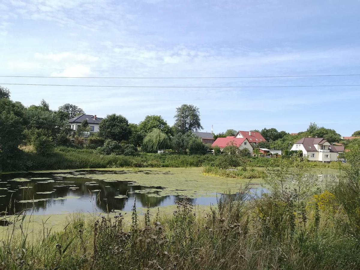 Folwark Goscino-Dwor Bed & Breakfast Eksteriør bilde